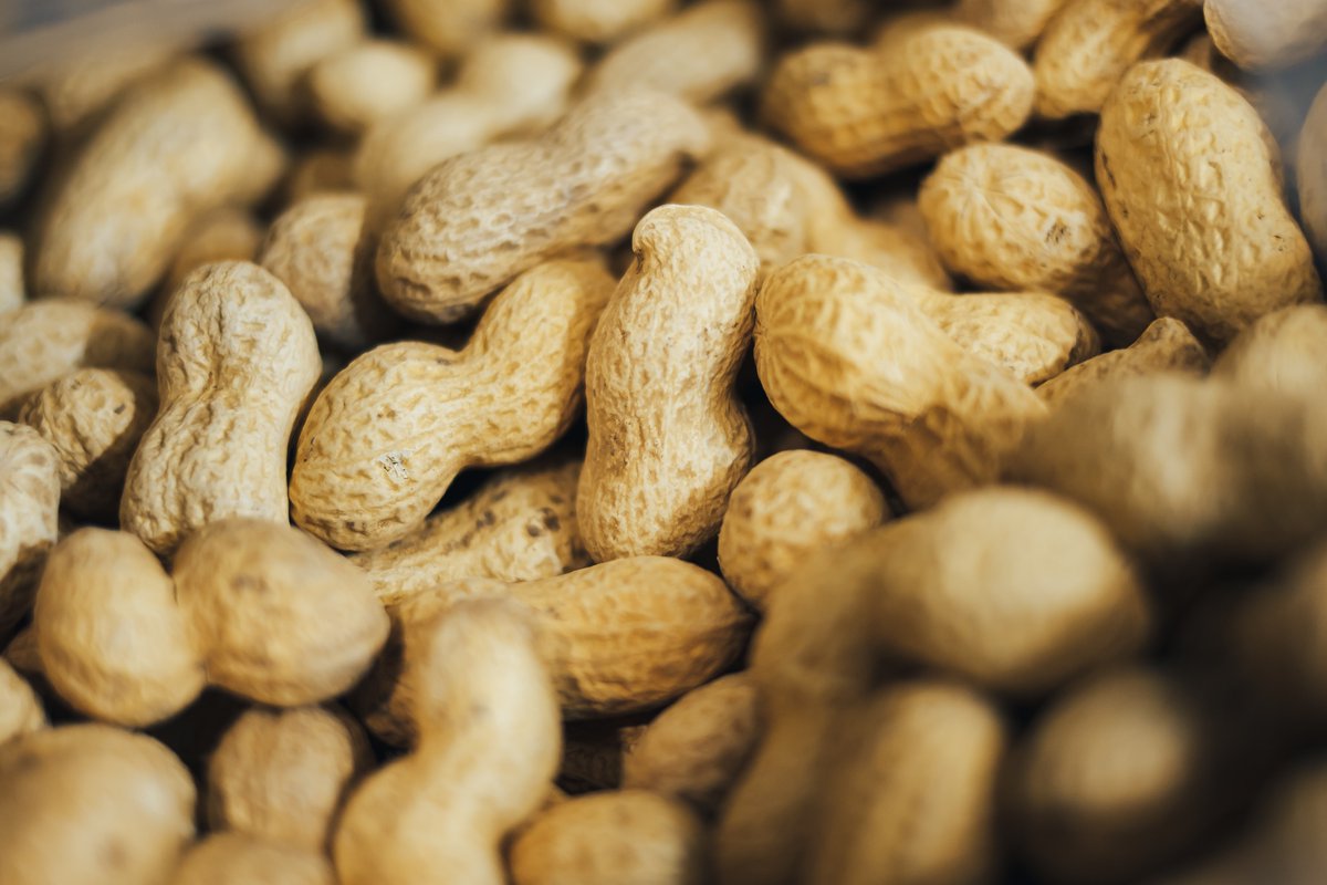 unisqaus's tweet photo. Did you hear that disease-resistant peanuts are coming to life? 🤪
Catch the news via @DailyMailUK: https://t.co/jntYsArxcY.
#PhDoIt 💪 https://t.co/eU2BklpFYJ