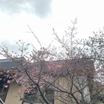かね吉 一燈庵のツイート画像