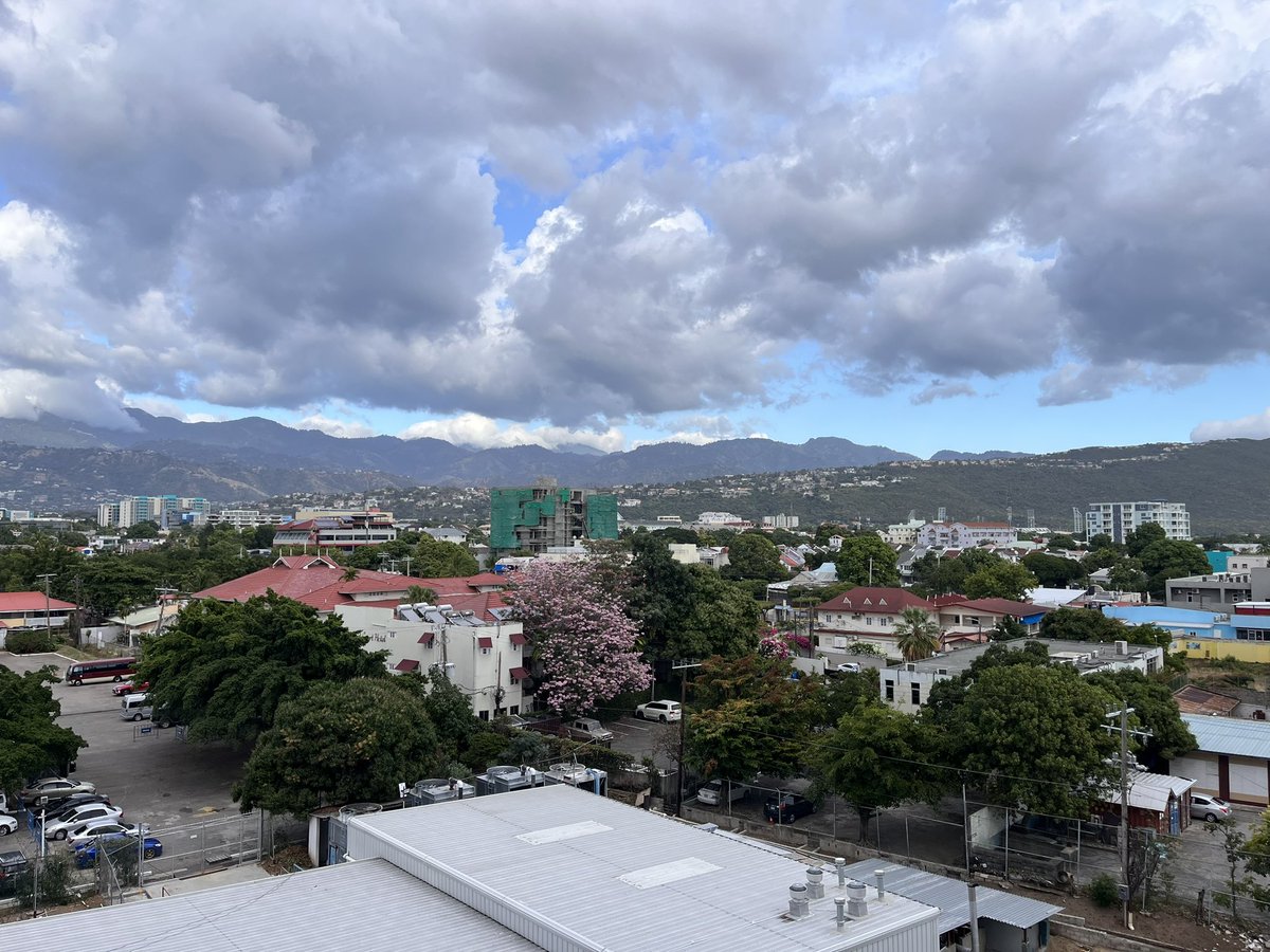 hankin_anna's tweet image. Final night in sunny #Jamaica 🇯🇲 at the CSC Caribbean meeting, before returning to London. At Usain Bolt's Tracks &amp;amp; Records Kingston #tracksandrecords with @RobinWGrimes @TheSolarChemist @Reshma_R_Rao @CzerneReid and new colleagues and friends 😊