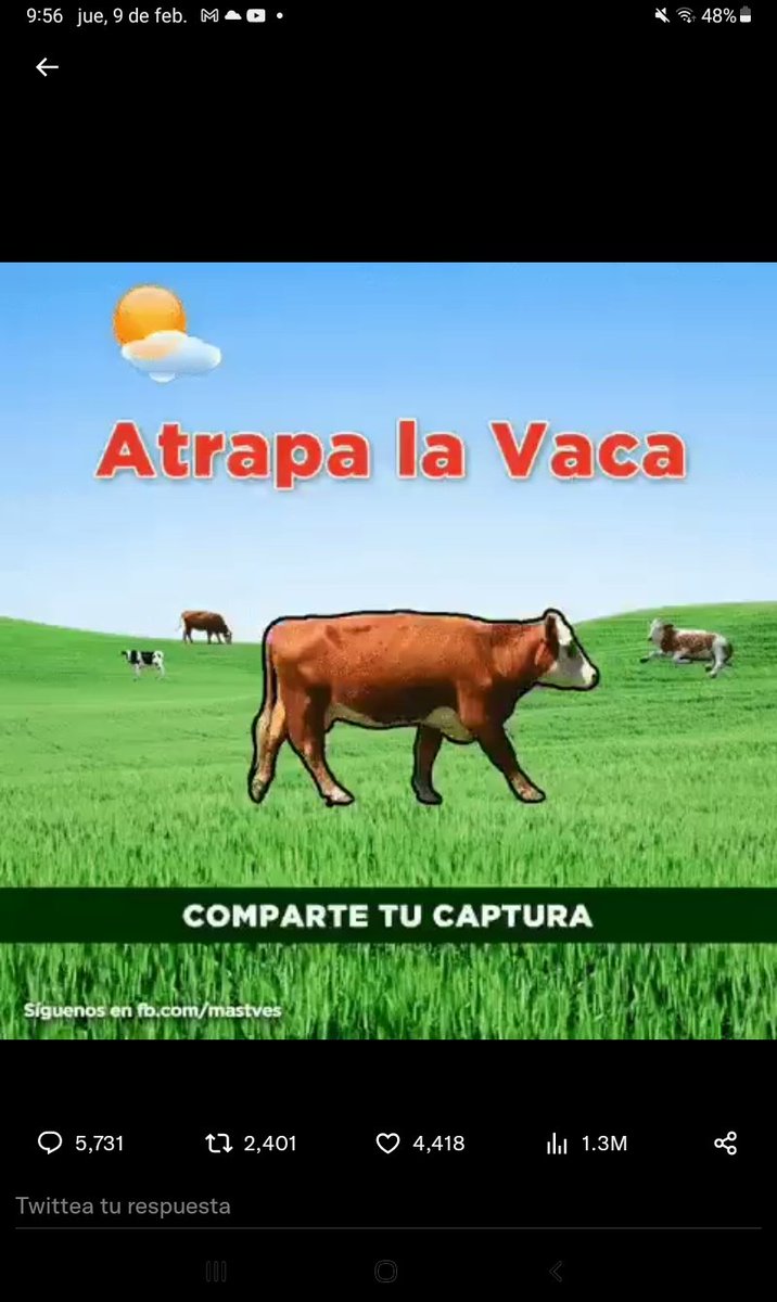 bercarv's tweet photo. @momentoviral Reto cumplido https://t.co/Zl0f5Y8Dlx