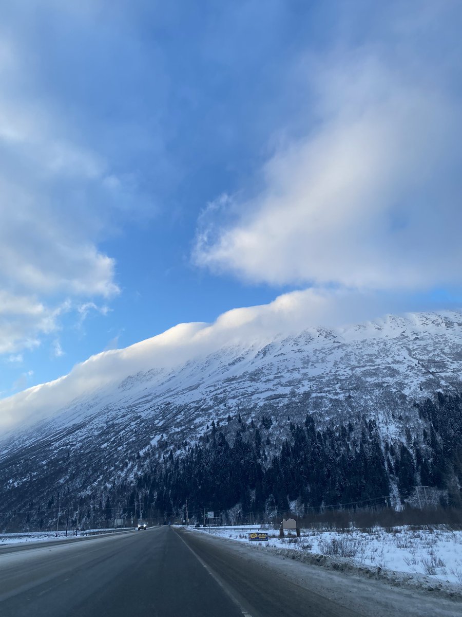 Morgatronn_ tweet media