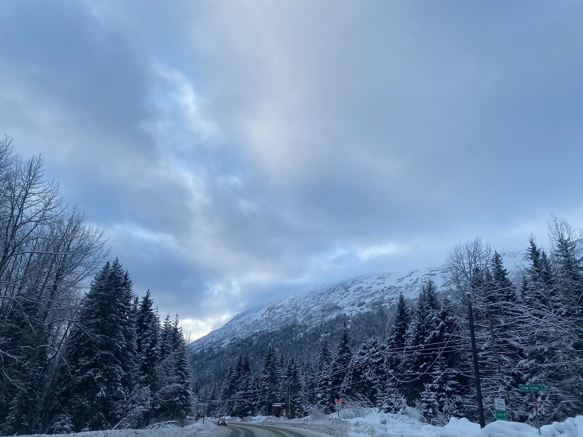 Morgatronn_ tweet media