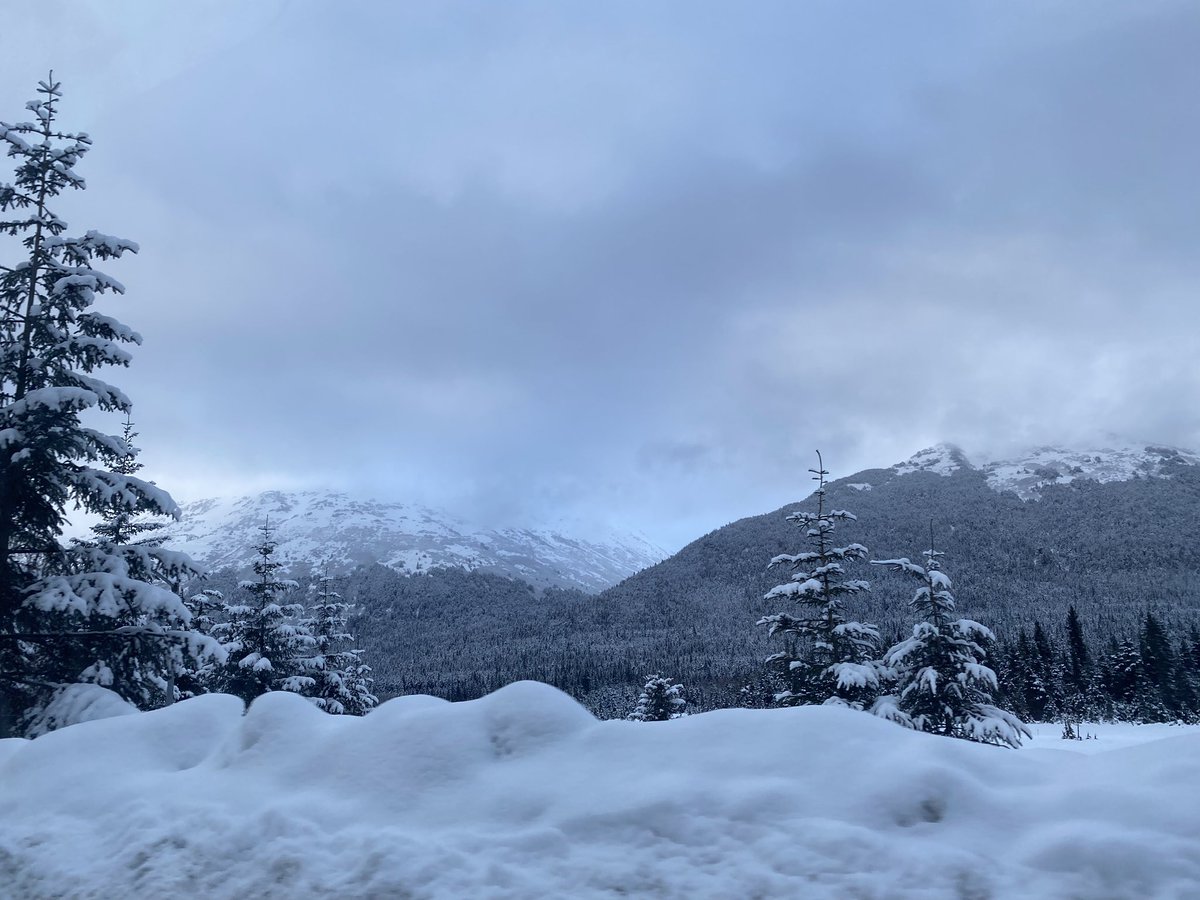 Morgatronn_ tweet media