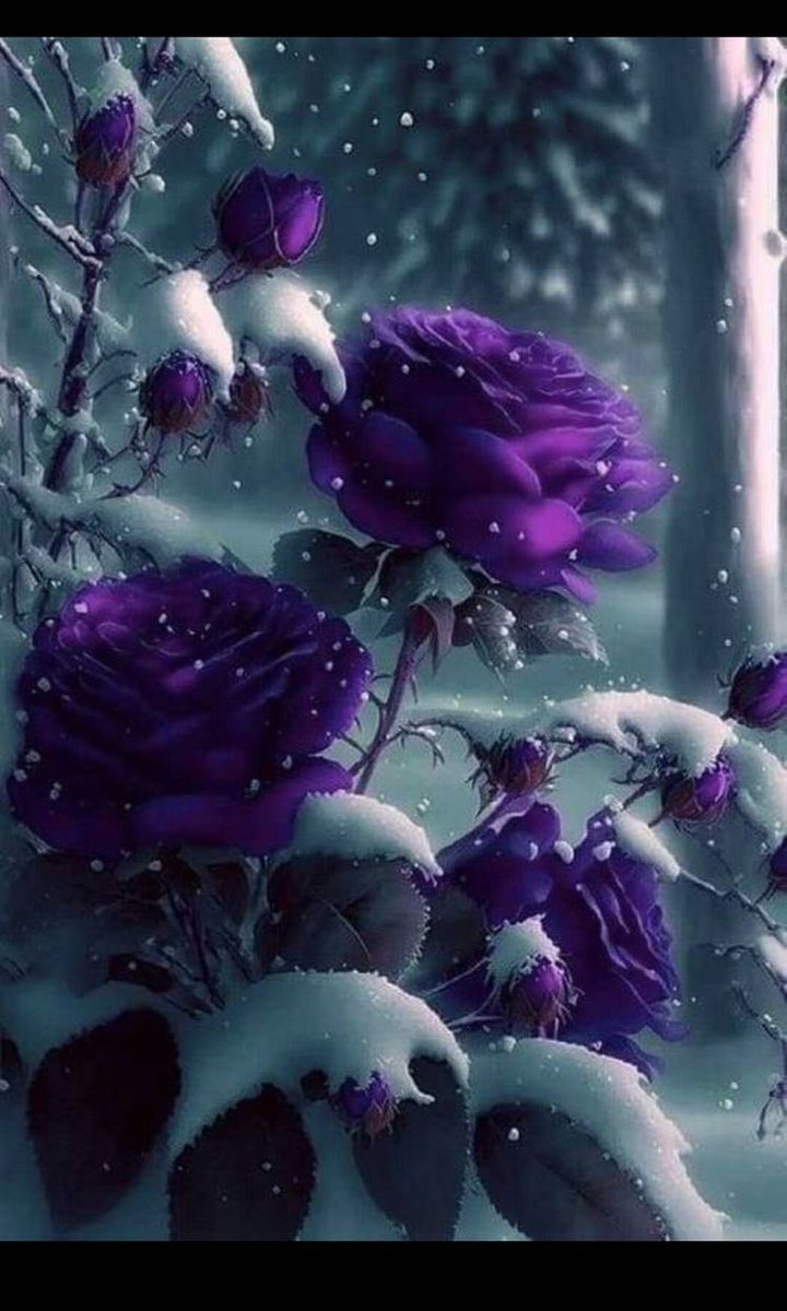 “Allah’tan hakkı ile ancak alimler korkar.” 

(Fâtır Sûresi, 28)

HAYIRLI ve NURLU CUMA’LAR…