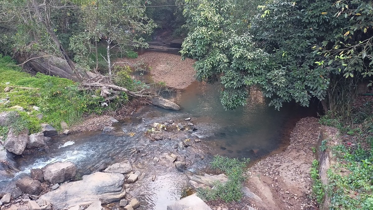 SanthoshKShett3's tweet photo. T-57: ಮಲೆನಾಡಿನ ಮಡಿಲಲ್ಲಿ
Malnad: Amidst Nature https://t.co/IlqON4J4Re