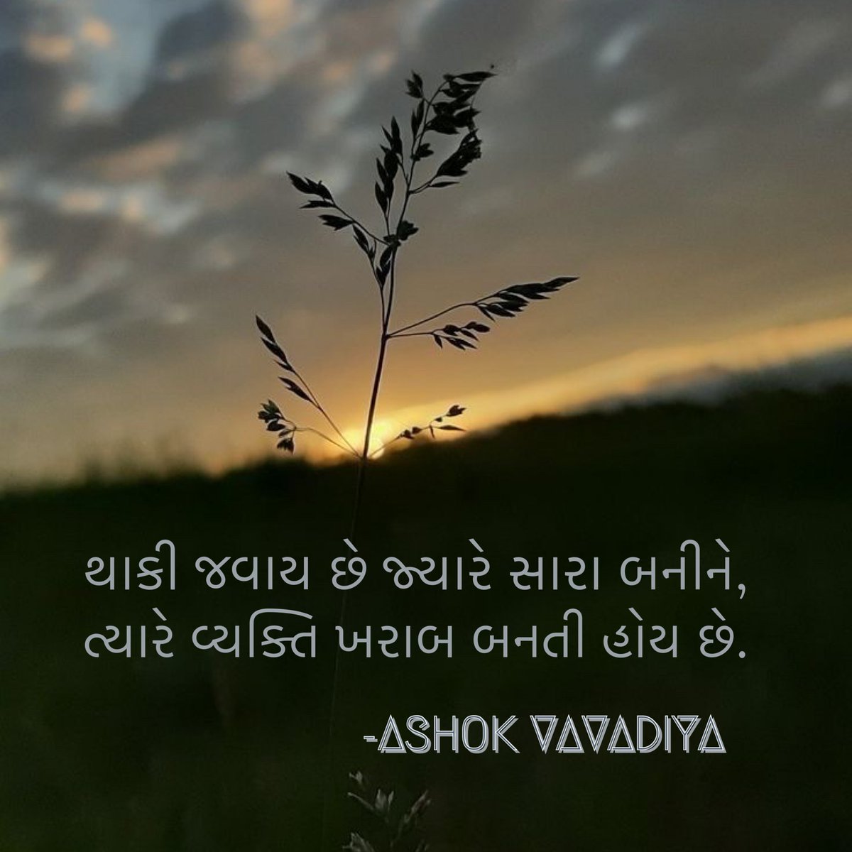 AshokVavadiya's tweet photo. વ્યક્તિ..!!
થાકી જવાય છે જ્યારે સારા બનીને,
ત્યારે વ્યક્તિ ખરાબ બનતી હોય છે.
-Ashok Vavadiya
@ashokvavadiya_official #ashokvavadiya #shabdakunja #morningthoughts #morningvibes #morningquotes #morningpost #tobelieve #ideas #suratcity #person #gettired #tobegood #tobebada https://t.co/KVoXbh4vaA