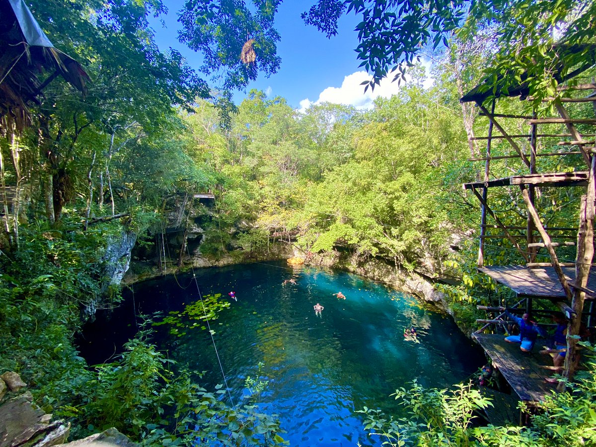 visitmexicojapa's tweet photo. 私たちが自ら撮った写真の中でベスト5に入る出来✨✨
#メキシコ #mexico
#visitmexicojapan
#ビジットメキシコジャパン
#kinha
#セノーテ https://t.co/p0vk9PCqEX