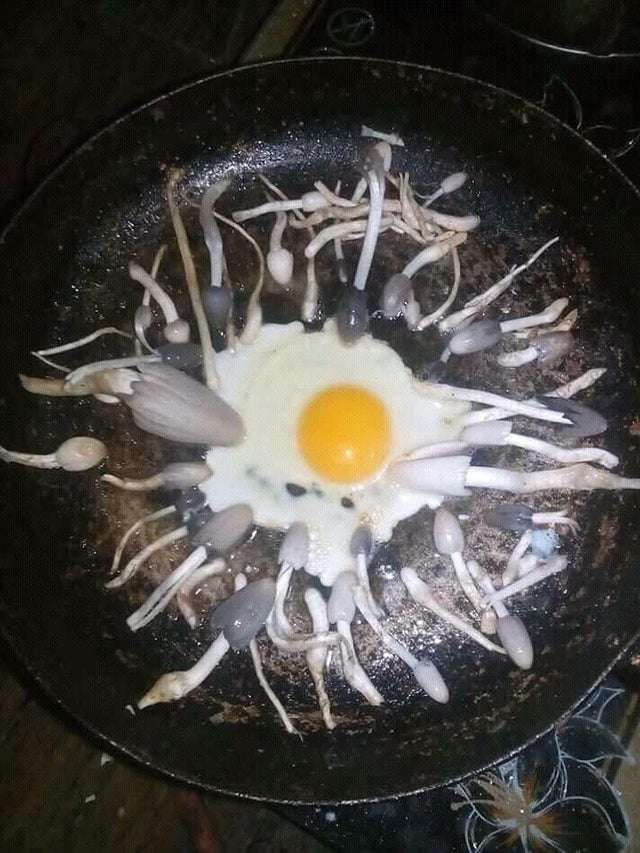 rexy on Twitter "YOU AINT BLACK IF YOUVE NEVER HAD THIS"