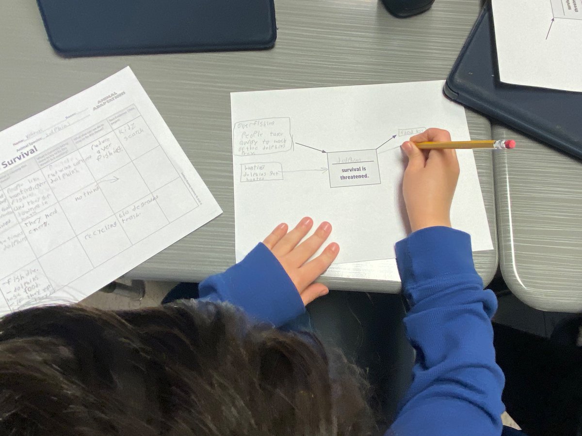 MrsBAdventures's tweet photo. Animal researchers have been hard at work! Can’t wait to see their final informational books! 📚 #d24inspires @MillburnMustang @AmericanReading https://t.co/jKmzaKMTqd