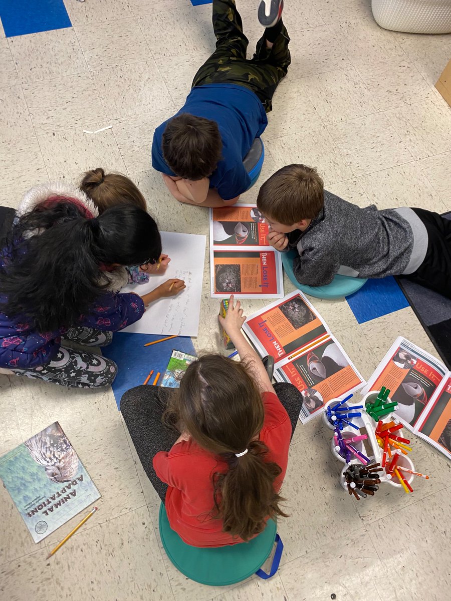 Animal researchers have been hard at work! Can’t wait to see their final informational books! 📚 #d24inspires <a href="/MillburnMustang/">Millburn Elementary</a> <a href="/AmericanReading/">American Reading</a>