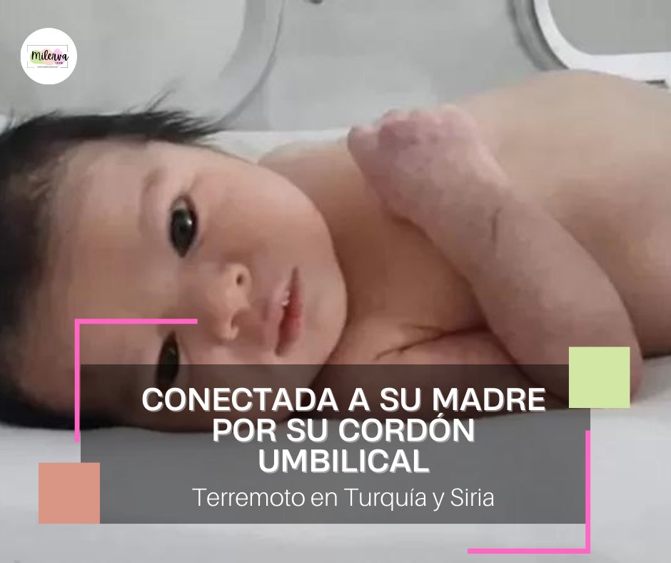 Milerva Ortiz tweet media