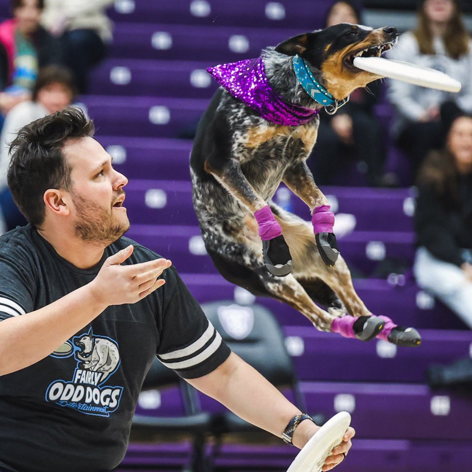 Ben & Anna Rimbey on Twitter "We’re excited to be back at