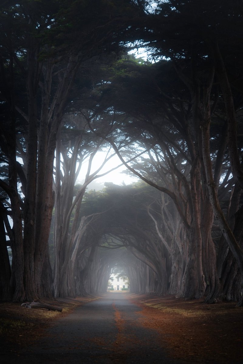 Sara Vozel tweet media