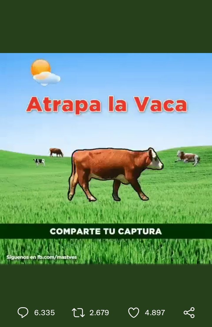 thaisperdomo08's tweet photo. @momentoviral Por fin..uff!! https://t.co/SM3uB8zQBQ