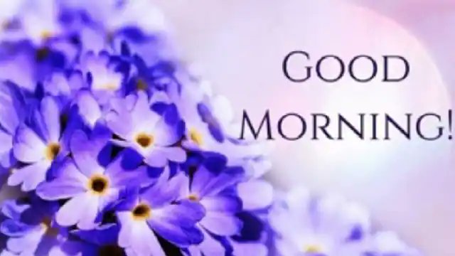 drlalpathlab4's tweet image. 