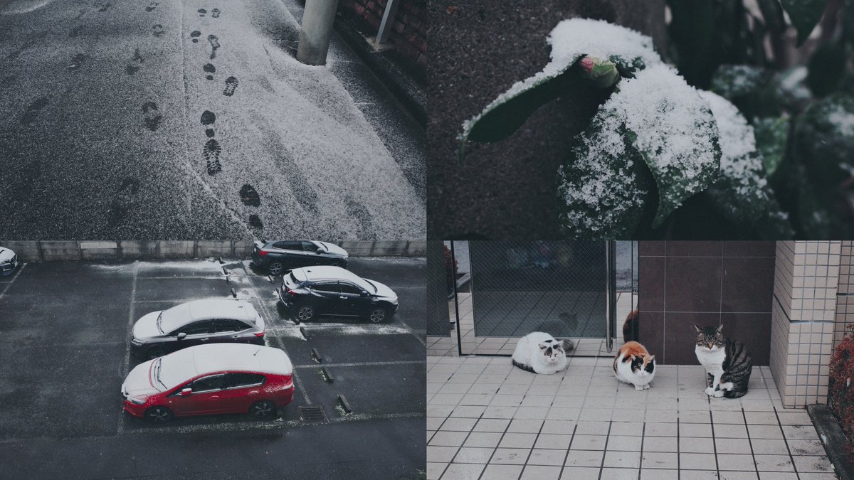 K_as_is's tweet photo. 雪って撮りたくなる。

#RICOH #GRIII #GR3 #PositiveFilm https://t.co/MZJrXKS9YC