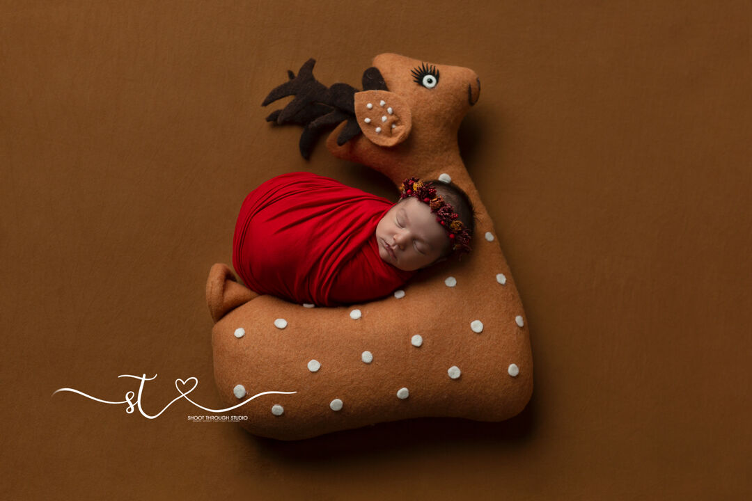 shoot_through's tweet photo. Newborn Photography.
Contact https://t.co/JBvznOyHGf to book your Newborn Photoshoot.
#SanDiegoPregnancyPhotography
#OutdoorMaternityShoot
#PregnancyPhotographySD
#MaternityPhotographerSD
#SanDiegoMaternity
#SanDiegoNewbornPhotography
#PregnancyPhotographyOutdoors https://t.co/vbzuegaoQR