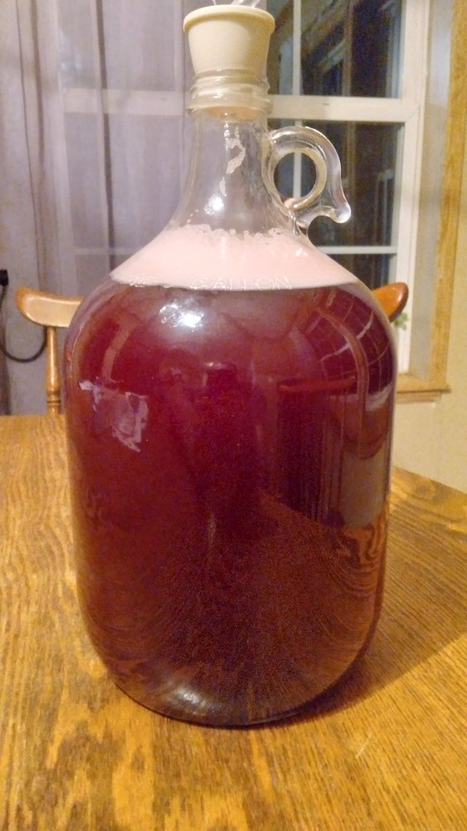 KnightDivining's tweet photo. Holiday "Monster" Melomel started! Apple 🍎, Tart Cherry 🍒 &amp; Cranberry.  SG 1.102 which gives it a potential ABV of ~13%. Adding vanilla bean, cinnamon stick, maple syrup and possibly orange in secondary. Plan to drink/unveil it this holiday season. #Mead #meadmaker #homebrewing https://t.co/eurXwzR6eF