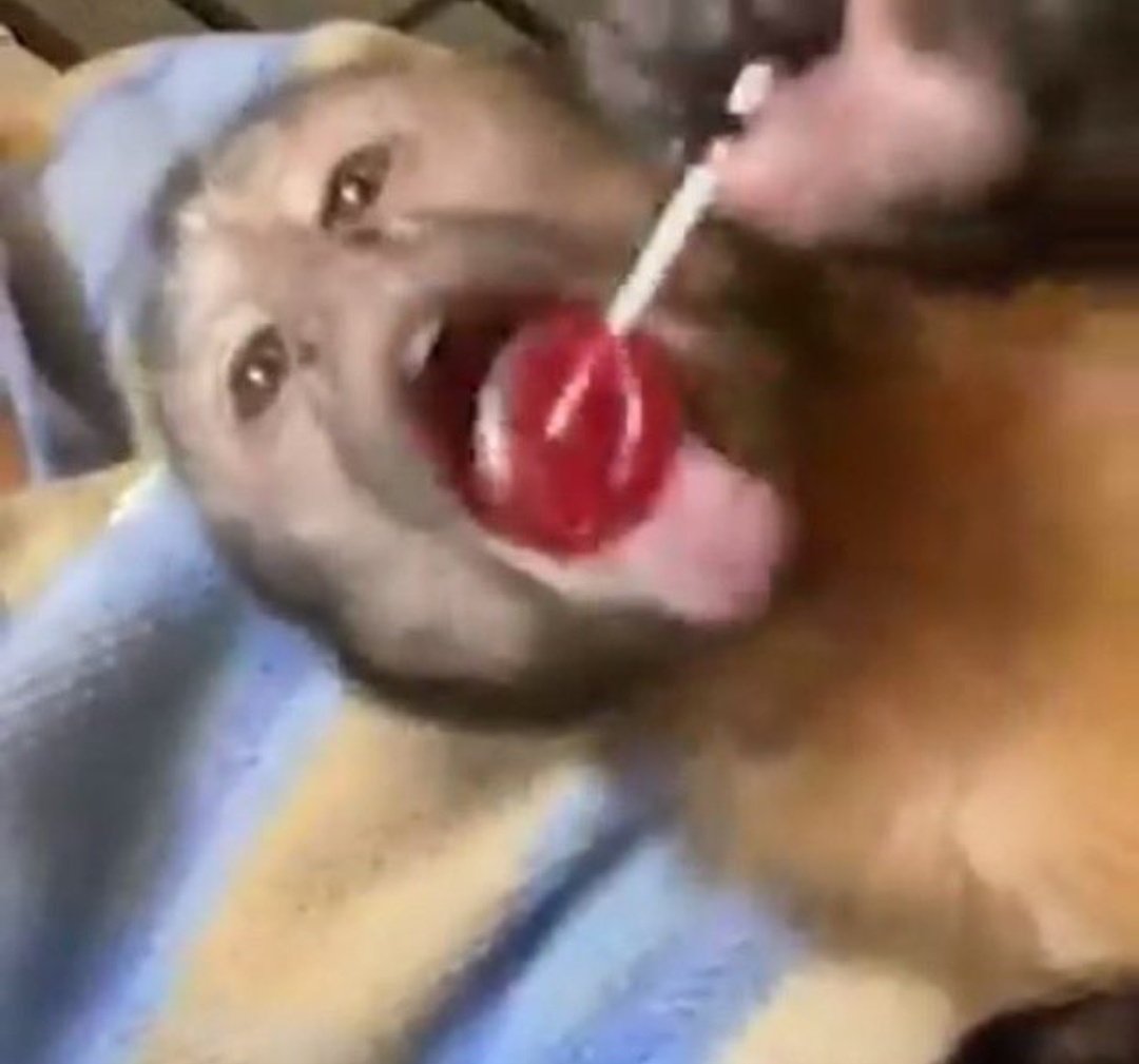 studyrzz's tweet image. eu acho qj encontrei o melhor site pra estudar diariamente pro enem da vida