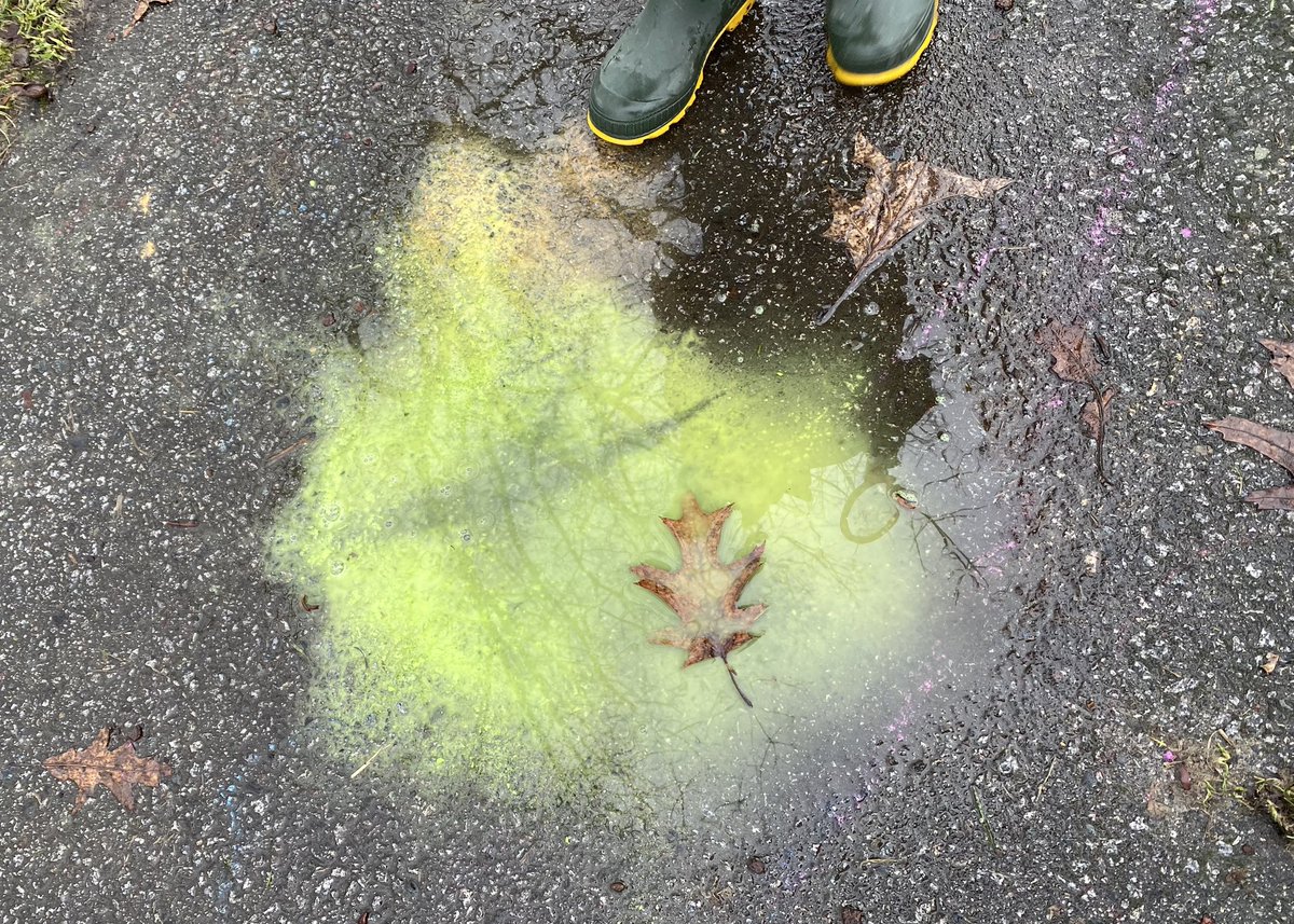 Sharon Baatz tweet media