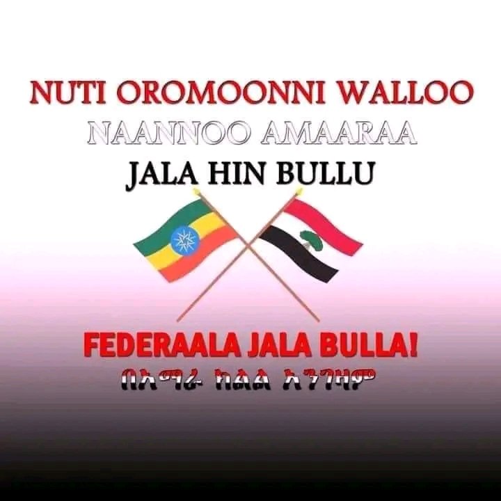 Kanabooda Qabsoon keenya kan ijoo isa kanaadha. Nufaana jiraadha sinii  jenna Ilmaan oromoo marti🌳😍