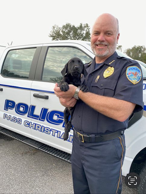 On Patrol K9 tweet media