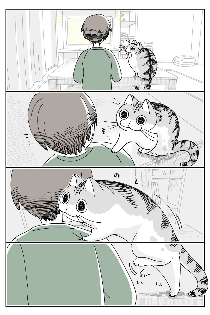 可愛すぎる！肩に乗ろうとする猫のお話を描いた「猫漫画」が話題に！