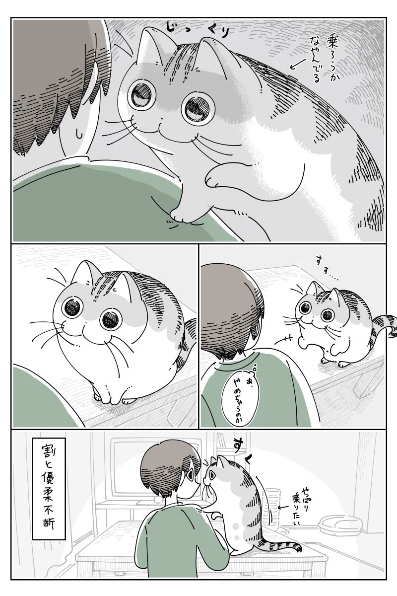 可愛すぎる！肩に乗ろうとする猫のお話を描いた「猫漫画」が話題に！