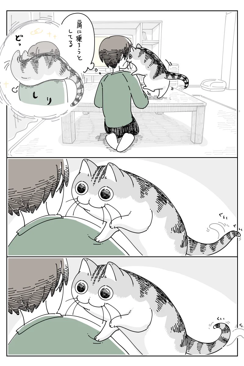 可愛すぎる！肩に乗ろうとする猫のお話を描いた「猫漫画」が話題に！