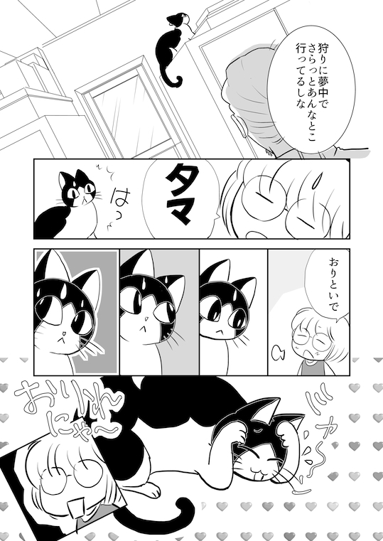 こんなのほほんなマンガです(^^) 1/2 #タマたま猫生活 #ナンバーナイン