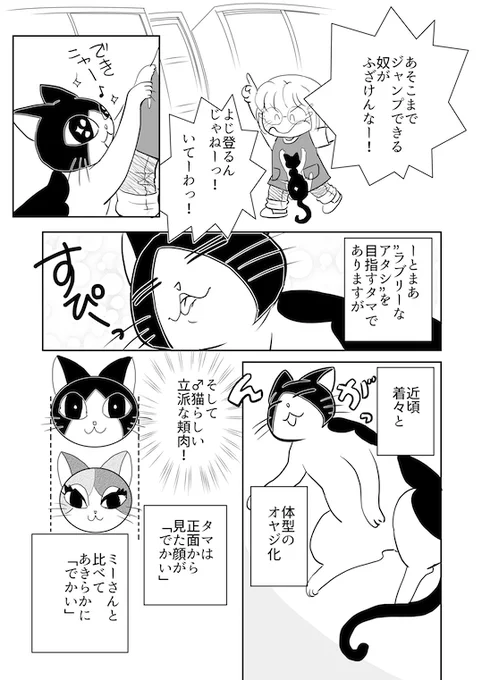 2/2