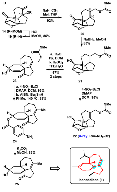 Total Synthesis (@totalsynthesis) on Twitter photo #Synthesis of Spirotricyclic Core of Bonnadiene by Xiaohong Lin, Yu Huang, Long Min, and Chuang-Chuang Li in <a href="/JOC_OL/">J Org Chem/Org Lett</a> pubs.acs.org/doi/10.1021/ac… #Synthesis of Spirotricyclic Core of Bonnadiene by Xiaohong Lin, Yu Huang, Long Min, and Chuang-Chuang Li in <a href="/JOC_OL/">J Org Chem/Org Lett</a> pubs.acs.org/doi/10.1021/ac…