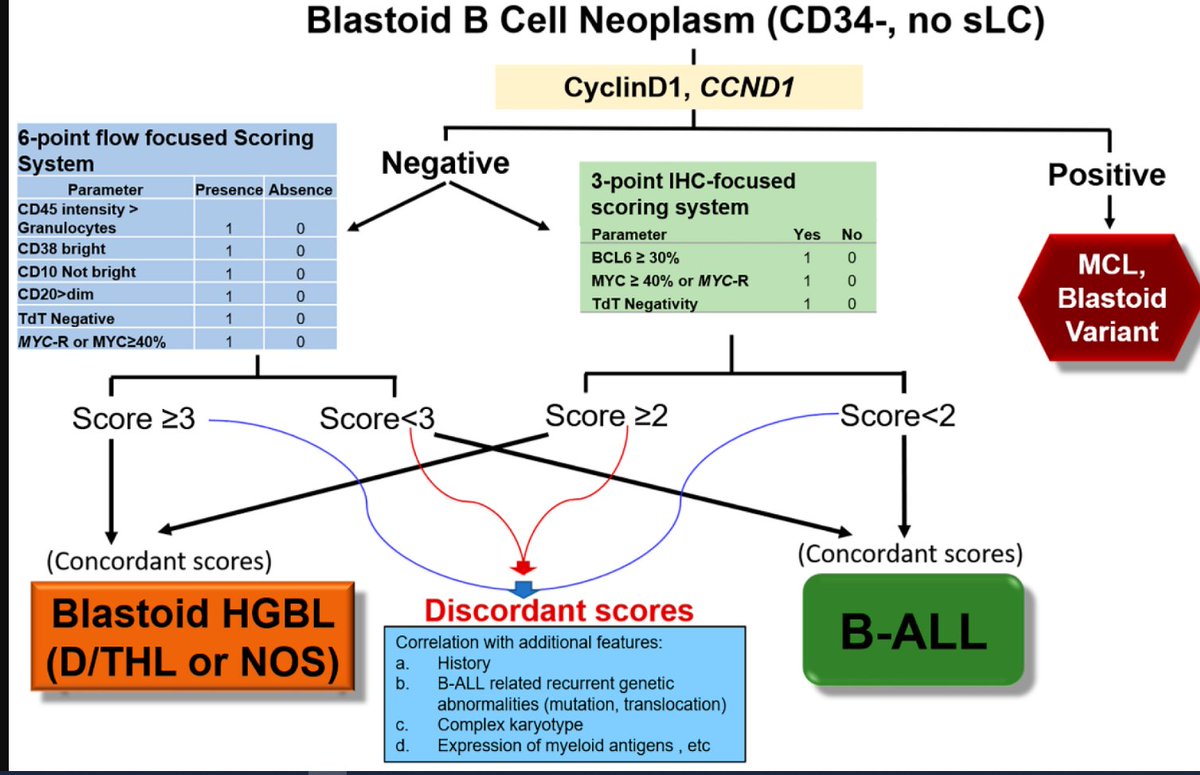 Great work by @ShaoyingLiMD and @LianqunQiu 
It is challenging to differentiate and distinguish different subtypes of blastoid B-cells neoplasms; looking for solutions in dealing with these cases?@Cancers_MDPI 
#hemepath #molpath #pathology 
mdpi.com/2072-6694/15/3…