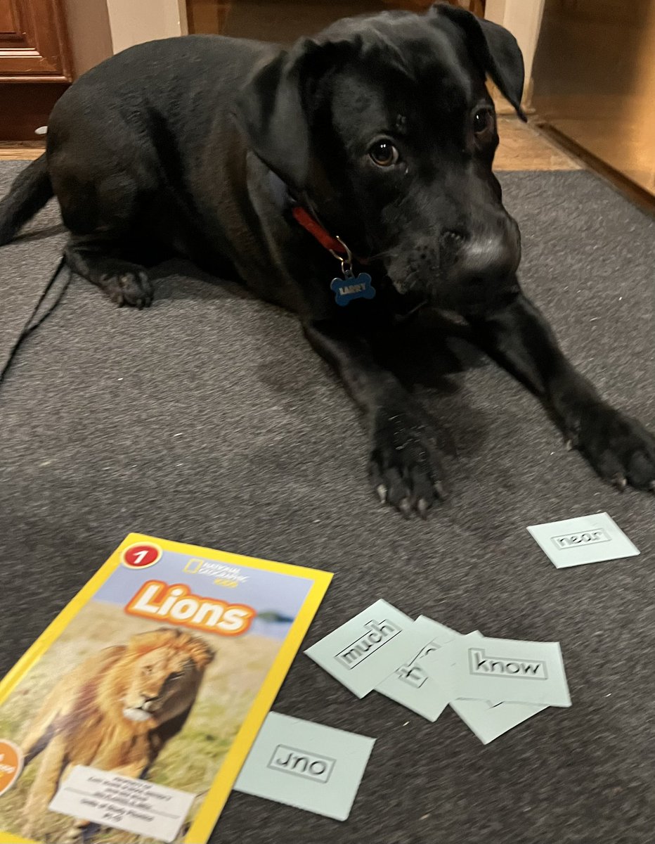 Teresa Simpson tweet media