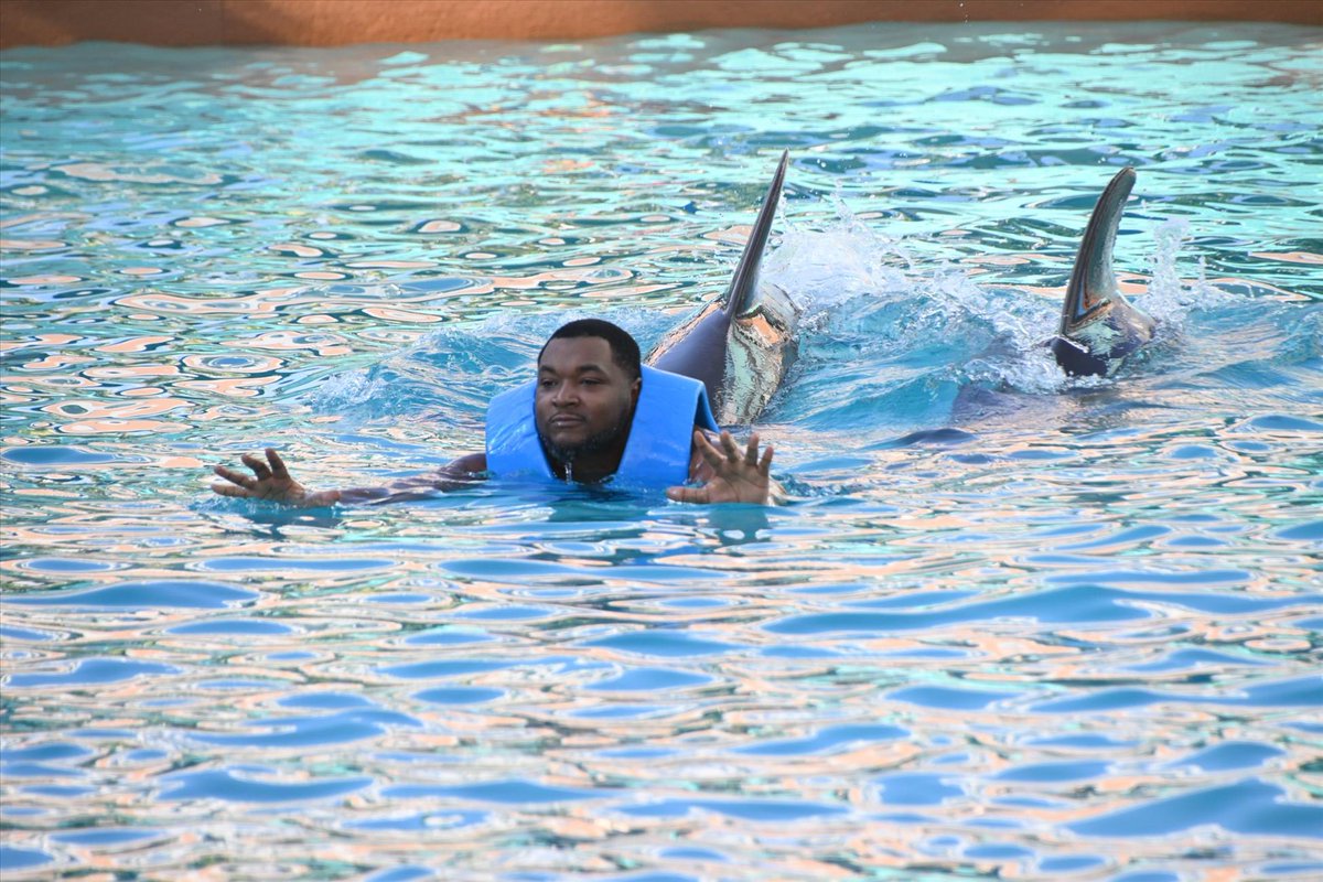 AquaFolks 🐬✡️ tweet media