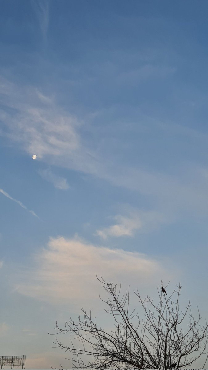 zeeaurav's tweet photo. Morning dream. https://t.co/9NStoJQkuM