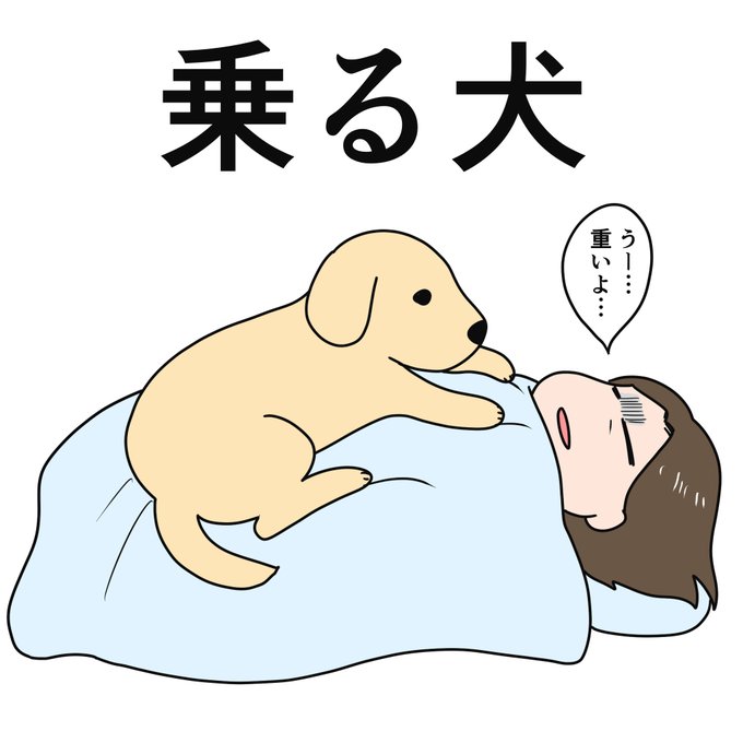 妹宅の犬、朝には容赦なくガッツリ乗ってくる。大体5時台後半〜6時台前半。無視して寝続けることは不可能。 