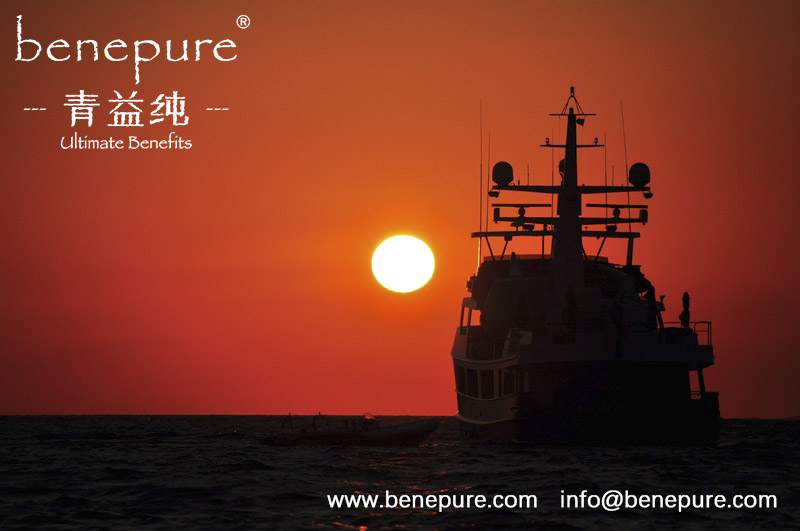 benepure's tweet image. #benepure #cphi #botanicalextract

Living without an aim is like sailing without a compass.

benepure.com
info@benepure.com
