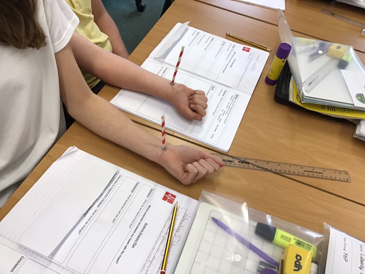 HGPAMrPottinger's tweet photo. On Wednesday, we looked at improving our higher order thinking through the use of @ExplorifySchool and then made makeshift heart monitors to see the circulatory system live at work! #HardwickGreenPA #HardwickSTEM #Stem #Explorify #Year6 https://t.co/5HNbvVxIyF