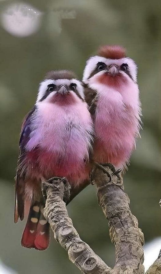 pic of the day... bon dia, good day... 😅🥰😉