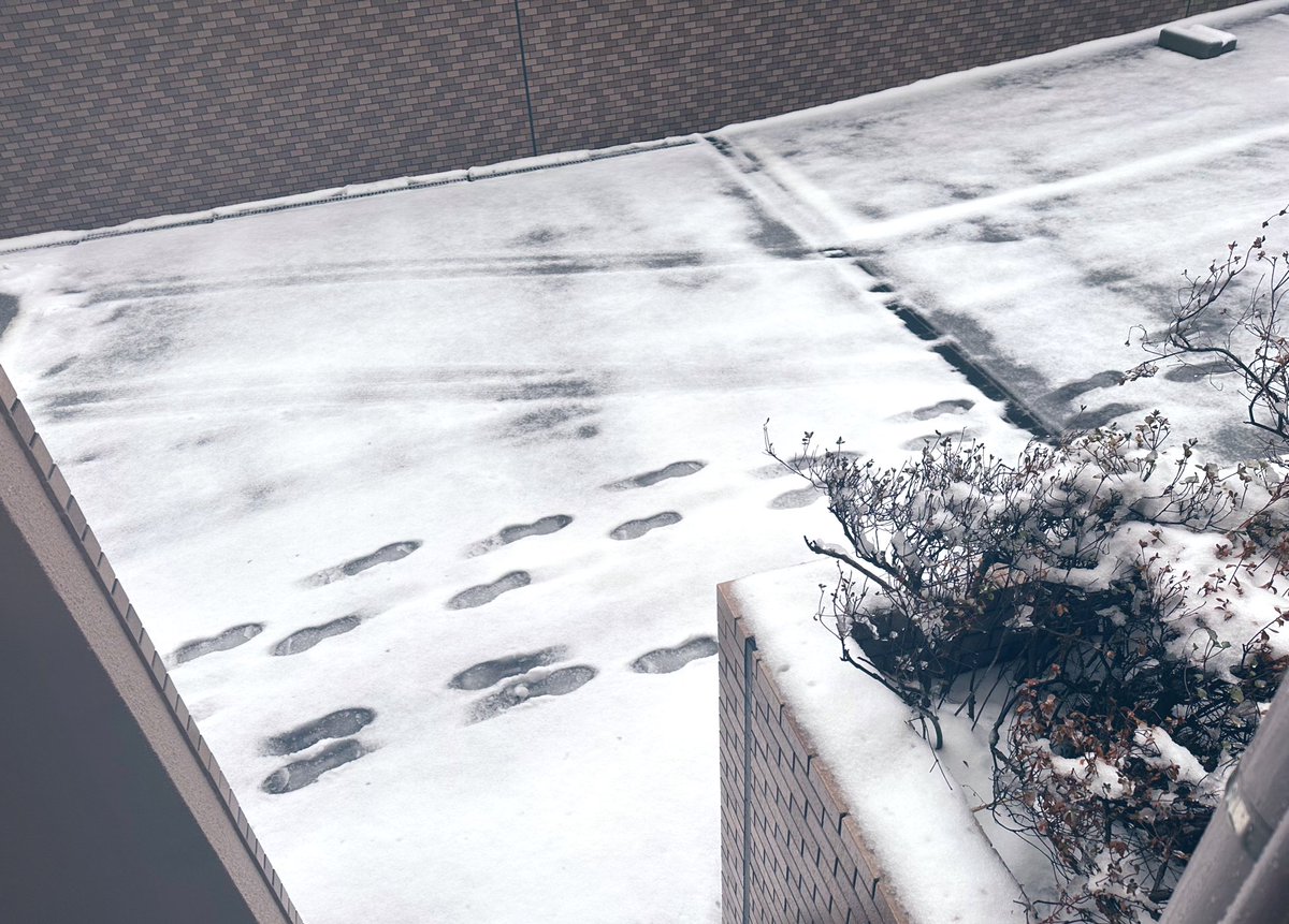 胃腸薬💊Ver.2026 tweet media