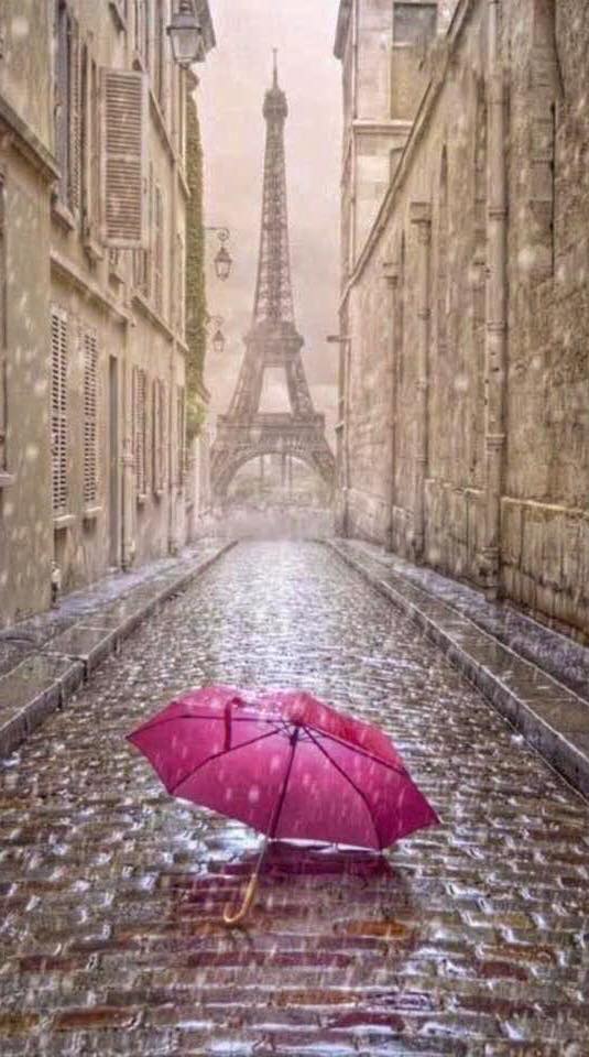The Good Life France on Twitter "Happy National Umbrella day! They've