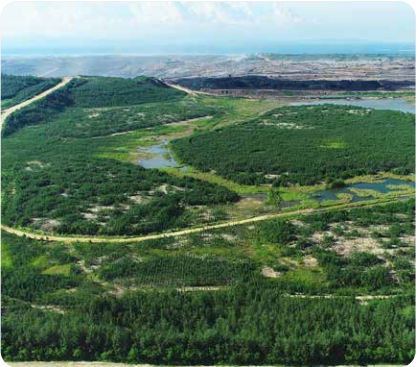 EnricoPatiga's tweet photo. Finally read Semirara Corp's 2021 Sustainability Report. They're a very responsible coal &amp; power company that works with the community. They even won an award for restoring an old pit into a green site. They've started doing carbon offsets, but no transition yet to renewables. https://t.co/cfYc6ogFSZ