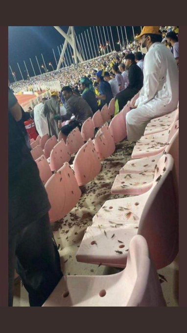 Footballogue's tweet photo. Le club saoudien d'Al-Wehda, adversaire d'Al-Nassr et de Cristiano Ronaldo hier soir, a subi une invasion de criquets pèlerins en plein match ! 🥶🦗🇸🇦 https://t.co/kaLJK1OSm8