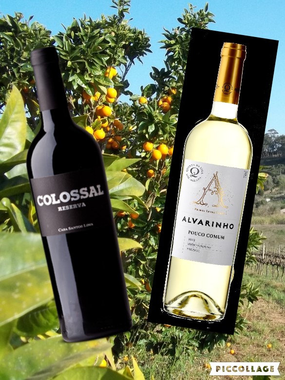 Wines from "Green" Portugal on Movies &amp; Booze today Minho &amp; Torres Vedras (Lisboa)..Saúde!