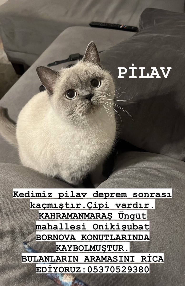 #kayıp #Kahramanmaras