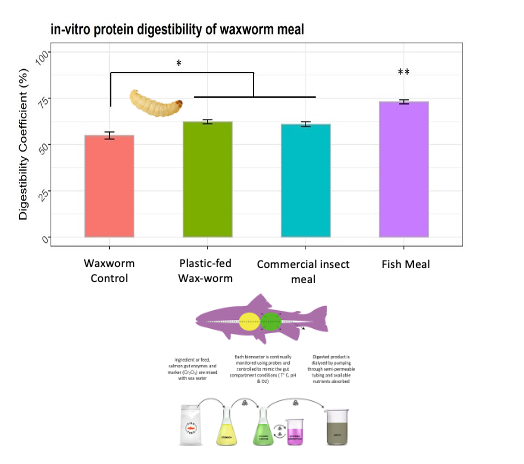 SalmoSim tweet media