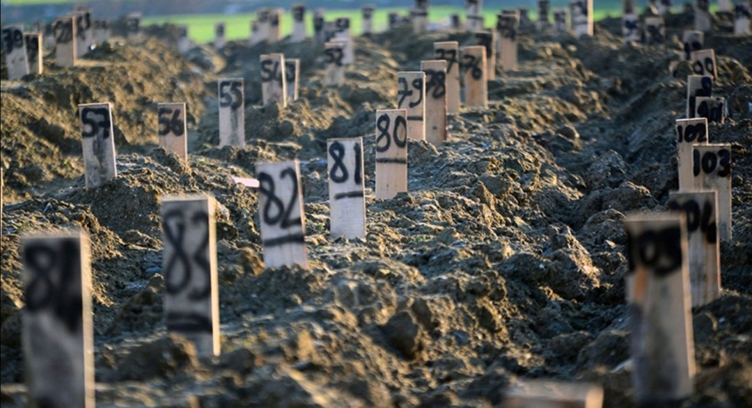Hatay'da depremde hayatını kaybedenler, numaralarla defnediliyor…