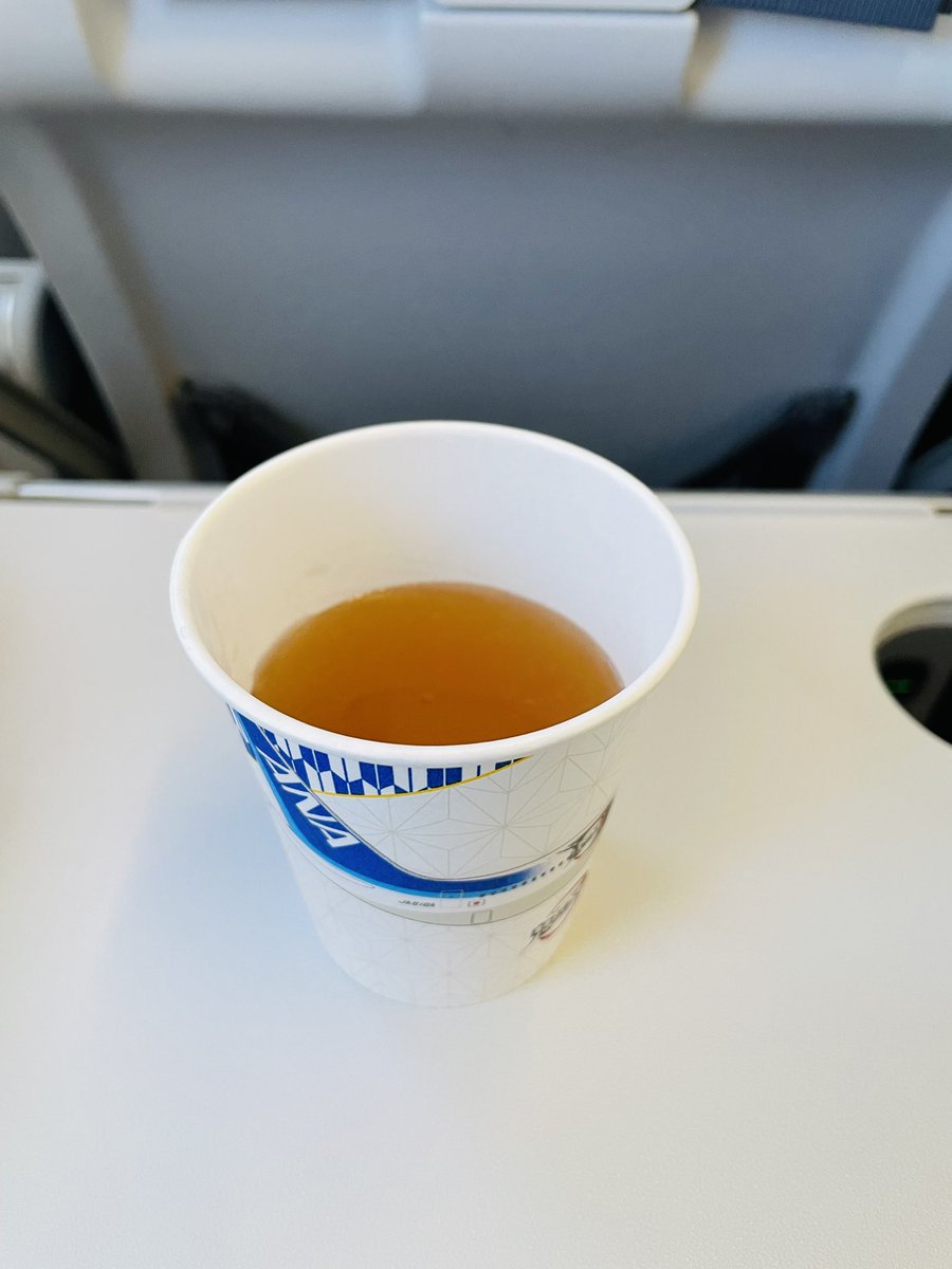 MischaO_O's tweet photo. このコンソメスープを飲むために飛行機に乗ってるまである https://t.co/whZBN3Lj2O
