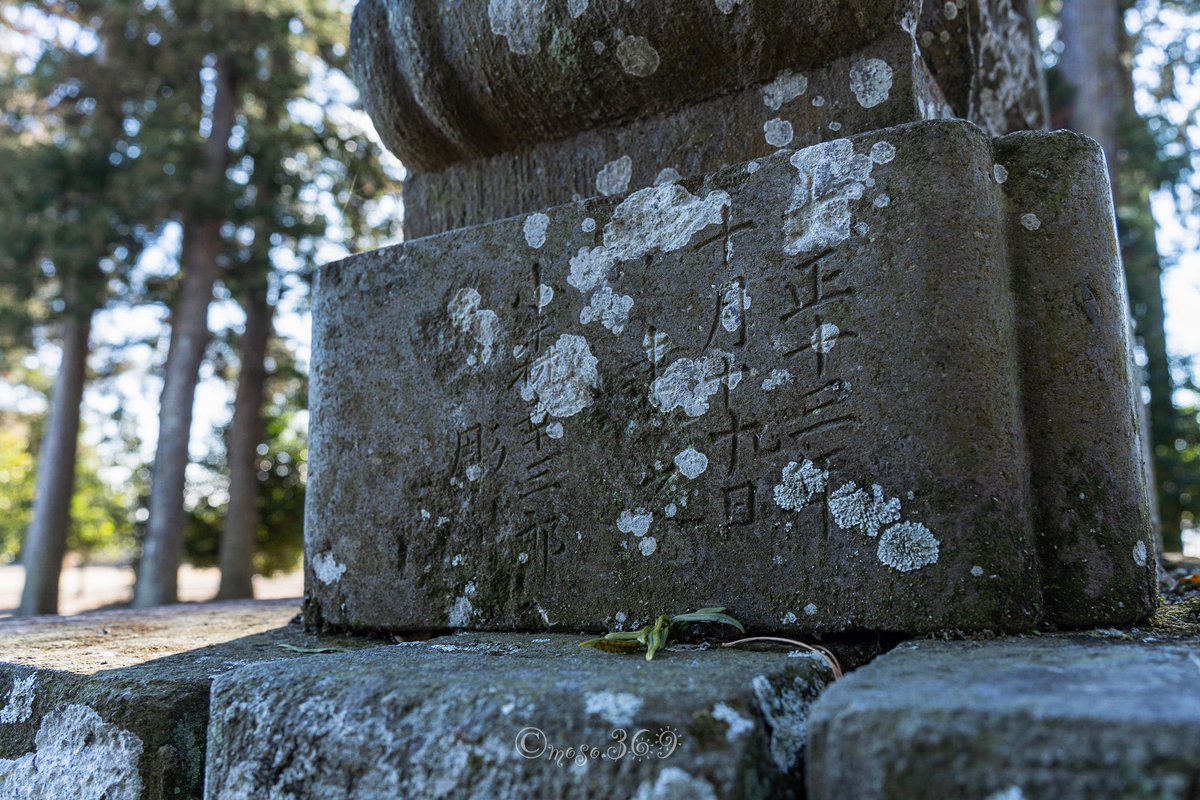 369_moso's tweet photo. #栃木県 #宇都宮市 に鎮座。
#髙龗神社 参拝。
狛犬熱が上がり二度目の参拝です。
とても雰囲氣の良い神社です。
大正十三年���#小森幸三郎 氏の銘がありました。
流れる尾が美しい狛犬です。 https://t.co/TH1k6hCloI